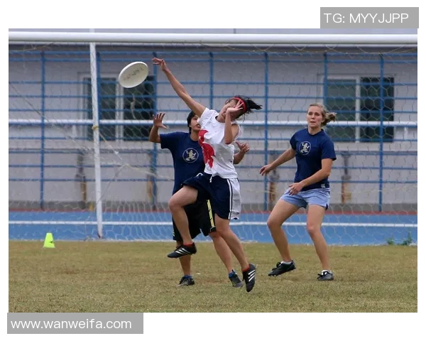 西安飞盘队强势领跑最新飞盘配合TOP10榜单分析与展望